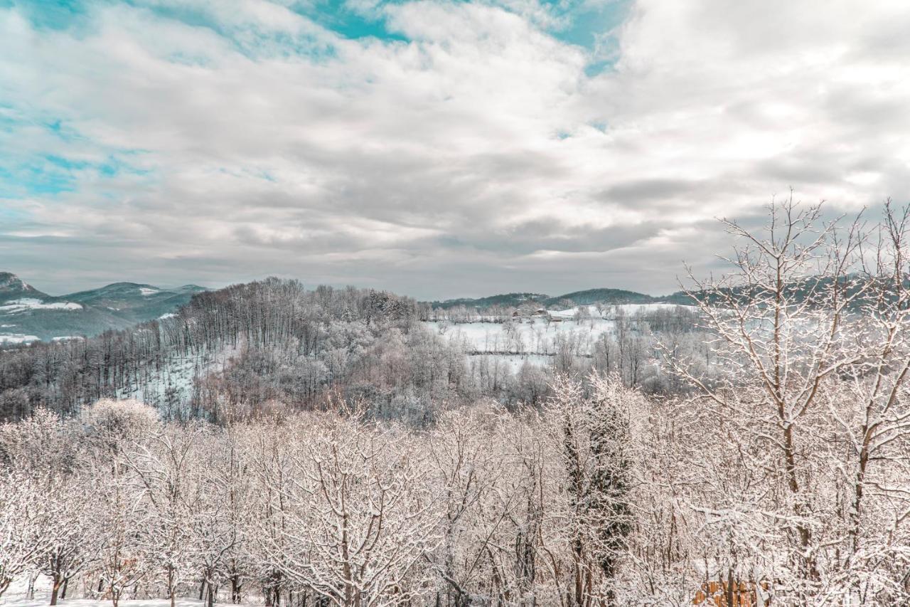 Lunija Gornji Milanovac